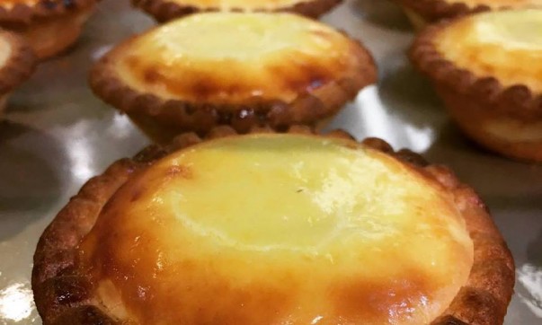 13680899_258460967870723_2285227447225947888_n