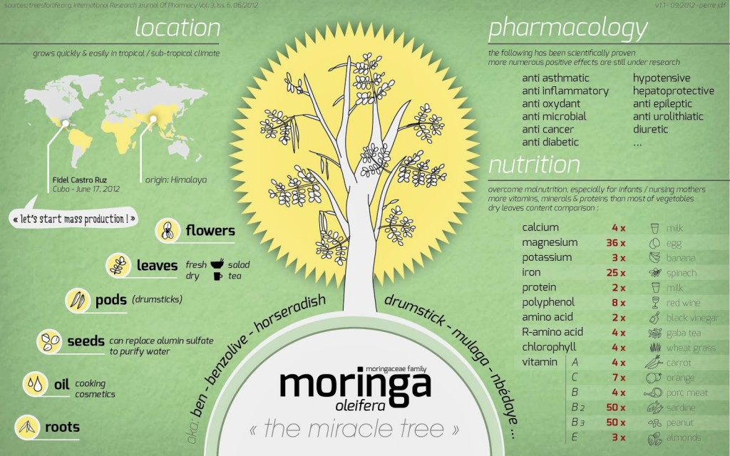 Moringa