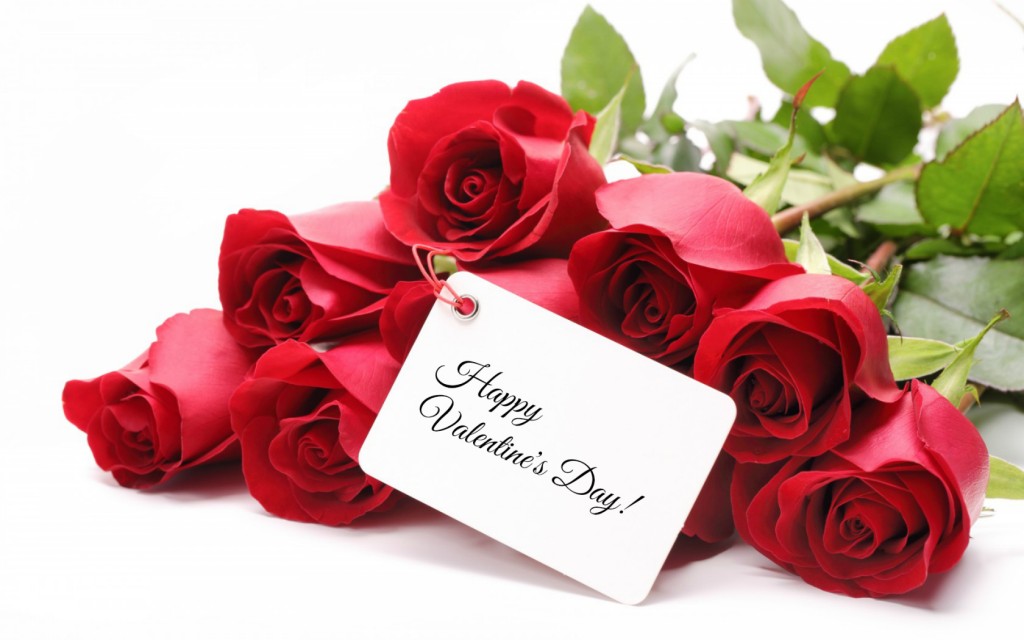 Valentine-Day-Red-Rose-Wallpapers-6