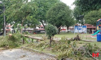 WhatsApp Image 2017-04-18 at 10.23.35 AM (3)